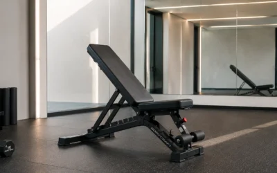 8 Best Adjustable Weight Benches under $500 of 2026 – Expert Picks