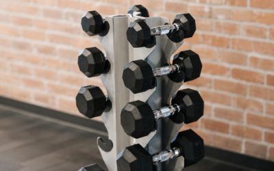 Best Rust-resistant Dumbbells under $500 Buying Guide: 5 Expert Picks for 2026