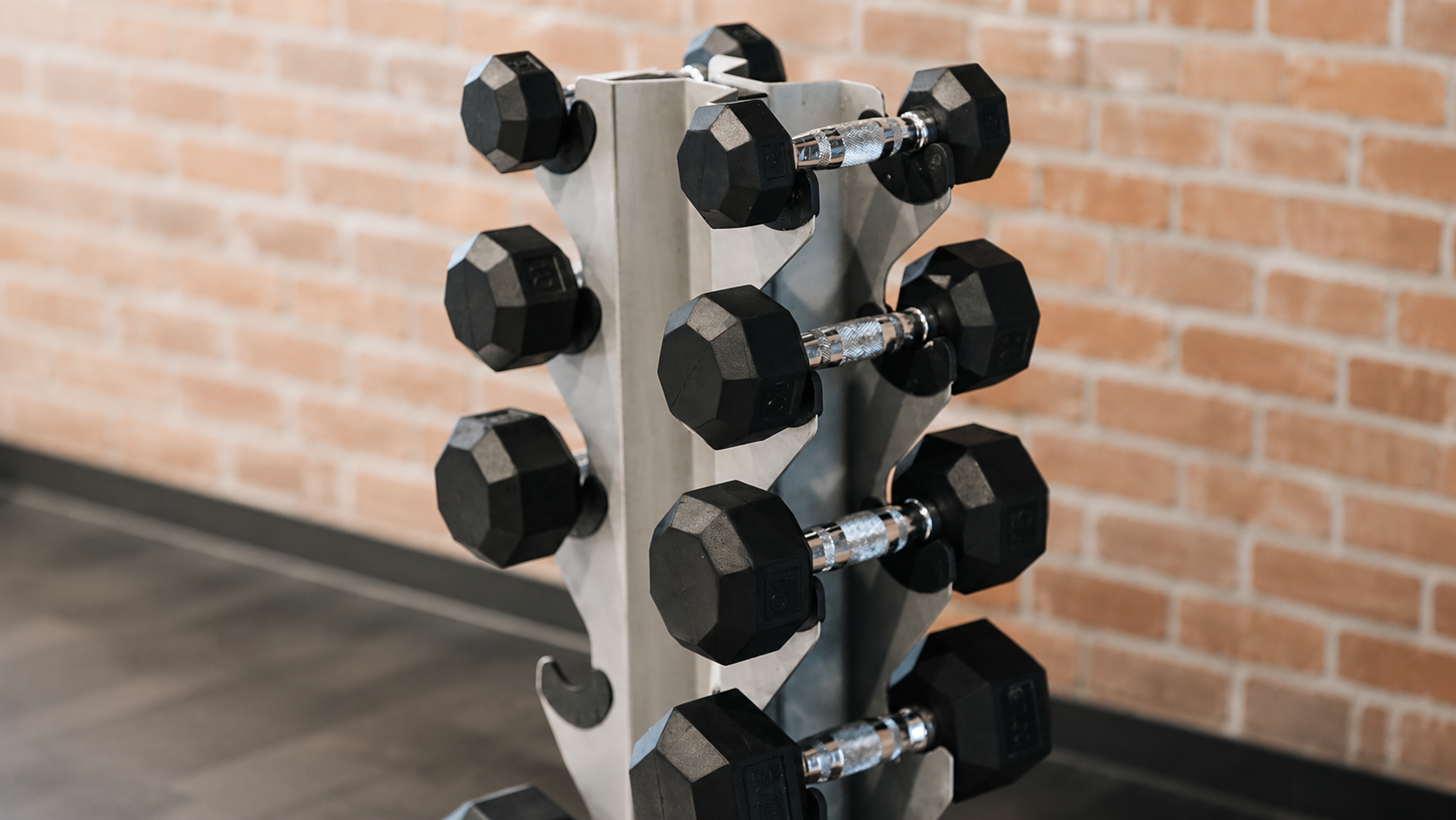Hexagonal dumbbells with rust-resistant coating mounted on a white dumbbell rack against a brick wall