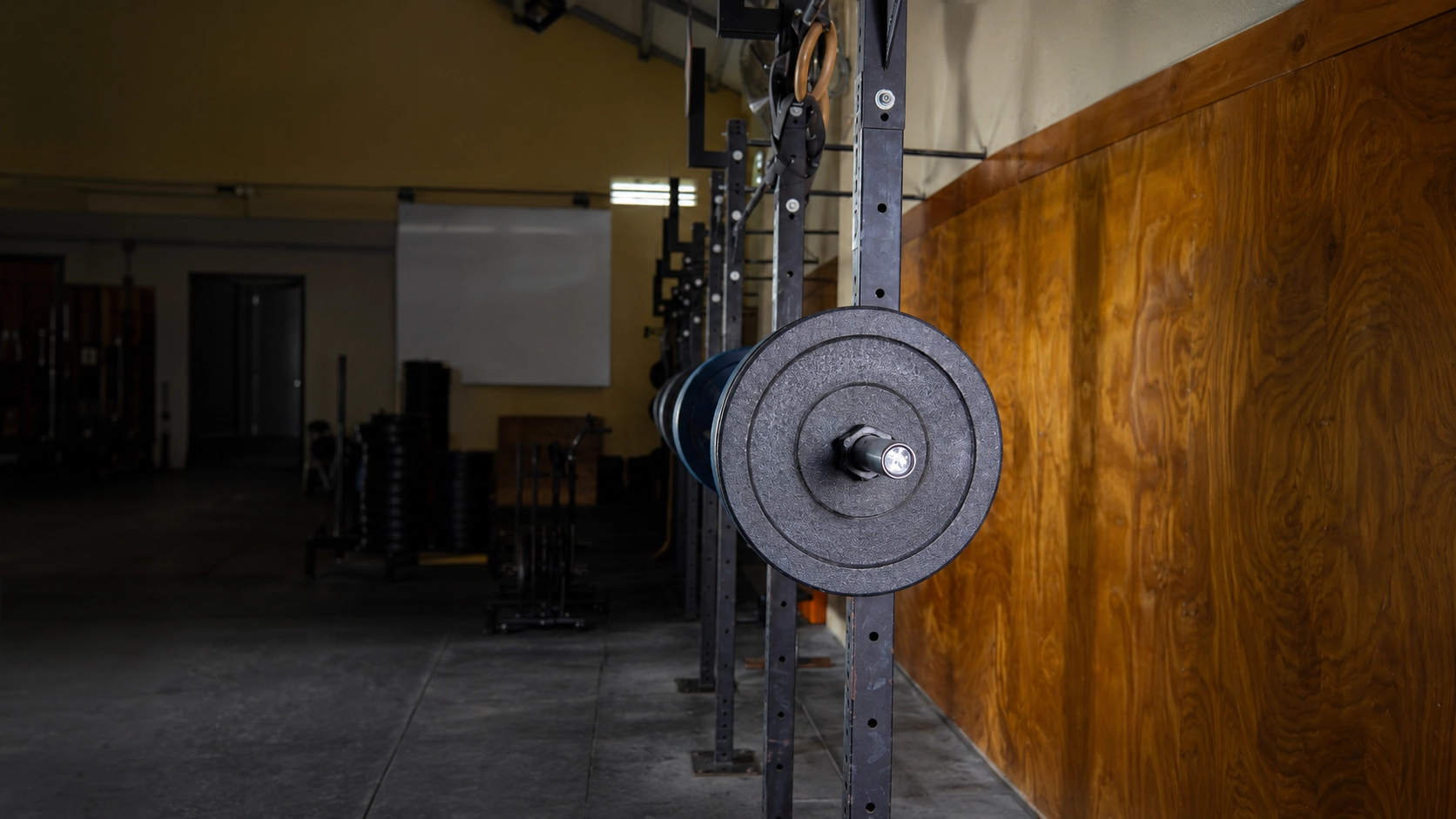 Weight plate mounted on a barbell in a gym showing proper equipment setup to prevent squeaky joints and noise
