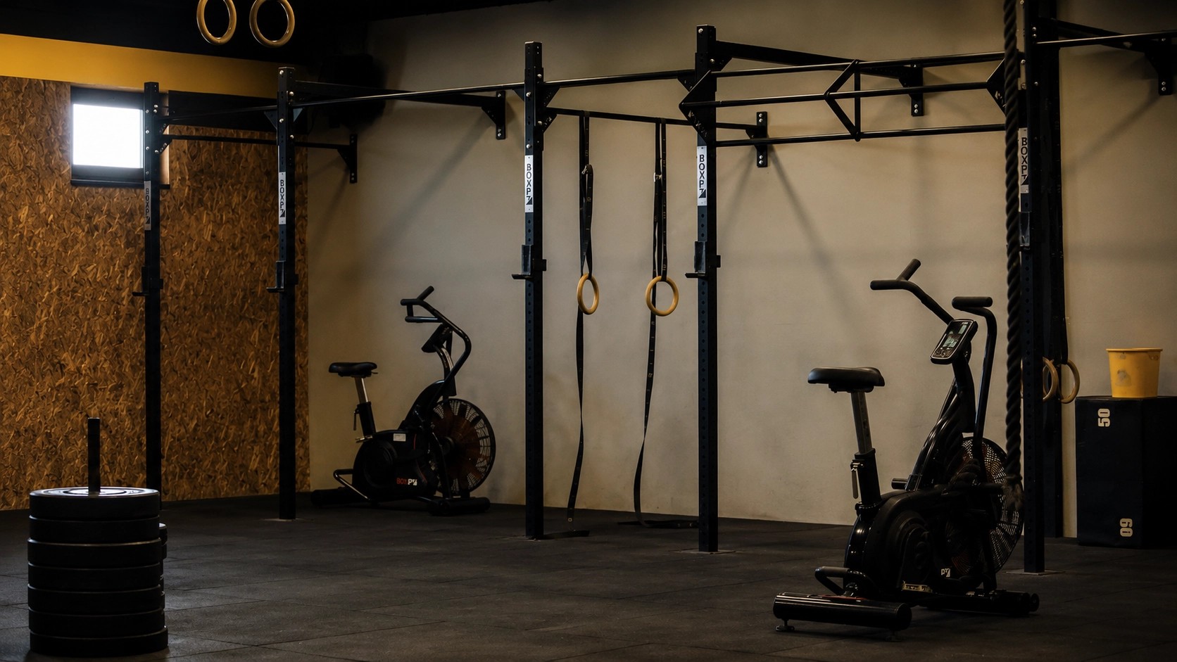 Well-organized basement gym with multiple power racks, exercise bikes, rings, and professional lighting setup